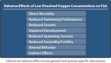 List of Adverse Effects