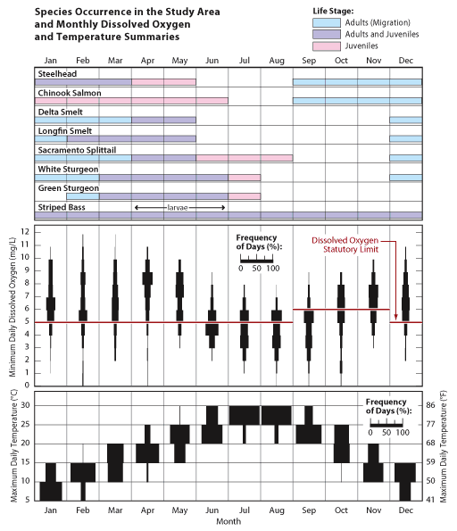 summary by month of fish occurrence, DO, and temperature