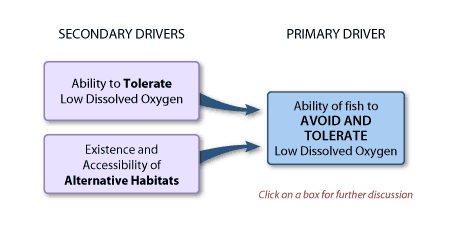 Diagram of Biological and Ecological Effects Model