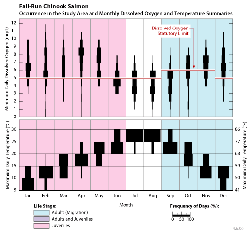 occurrence of fall-run Chinook salmon juveniles and adults