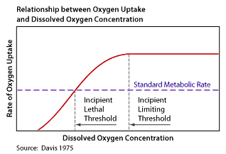 relationship between oxygen uptake and dissolved oxygen concentration