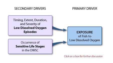Diagram of Biological and Ecological Effects Model