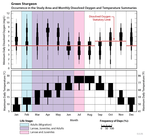 occurrence of green sturgeon larvae, juveniles, and adults