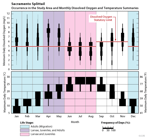 occurrence of Sacramento splittail larvae, juveniles, and adults