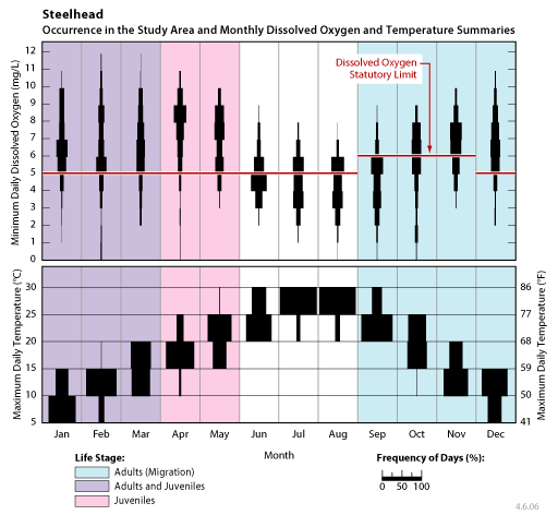occurrence of steelhead juveniles and adults