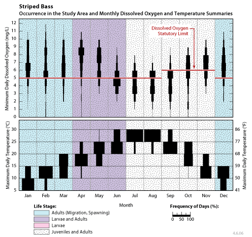 occurrence of striped bass larvae, juveniles, and adults