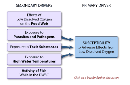 Secondary Drivers Affecting Succeptibility