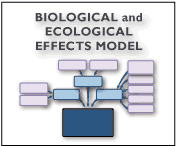 Link to diagram of the Biological and Ecological Effects Model
