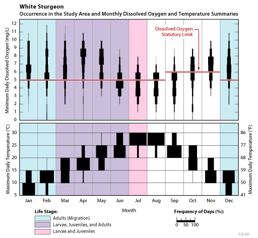 occurrence of white sturgeon larvae, juveniles, and adults