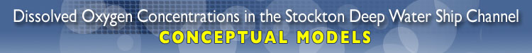 Dissolved Oxygen Depletion in the Stockton Deep Water Ship Channel: Conceptual Models