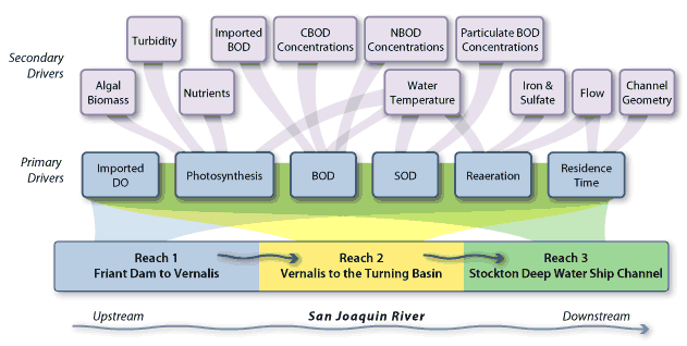 Physical and Chemical Processes Conceptual Model