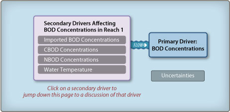 Reach 1 BOD diagram