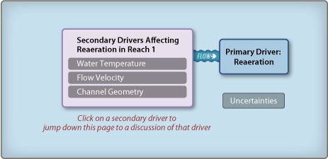 Reach 1 Reaeration diagram