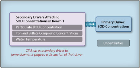 Reach 1 SOD Concentrations diagram