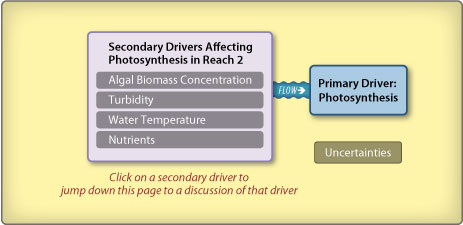 Reach 2 photosynthesis diagram