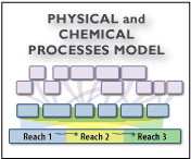 Link to diagram of the Physical and Biological Processes Model